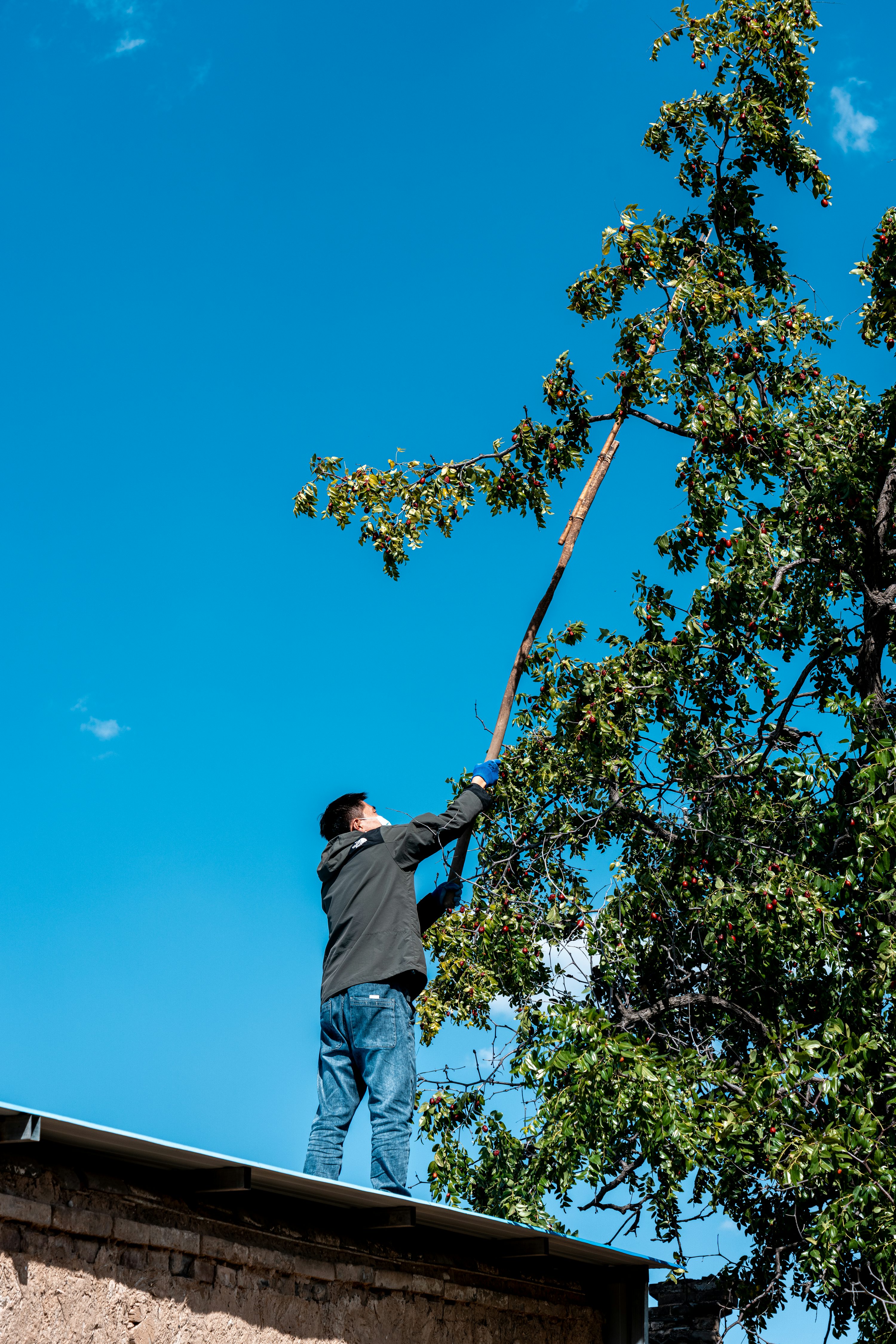 Illustrative worker cutting a fallen tree with a chainsaw